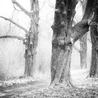 Foto Stanislav Pokorný