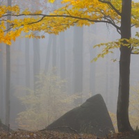 Foto Stanislav Pokorný