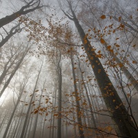 Foto Stanislav Pokorný