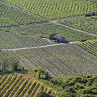Foto Stanislav Pokorný
