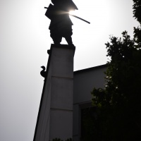 AF-P Nikkor 70–300 mm F4,5–5,6E ED VR