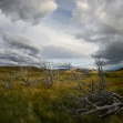 AF-S Fisheye Nikkor 8–15 mm F3,5–4,5E ED