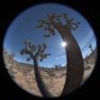 AF-S Fisheye Nikkor 8–15 mm F3,5–4,5E ED
