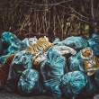 Alžběta Jungrová – rozhovor pro Nikonblog.cz