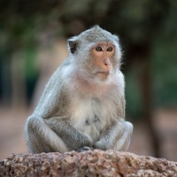 Kambodžská perla Angkor Vat – fotograf mezi selfíčkáři