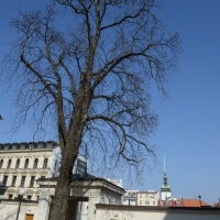 ohnisko 24 mm, F16, 1/100 s, ISO 100