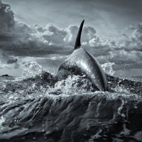 Foto George Karbus