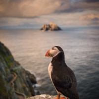 Foto George Karbus