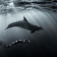 Foto George Karbus