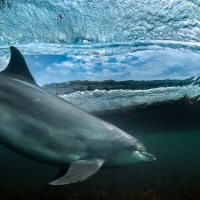 Foto George Karbus