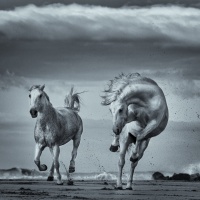 Foto George Karbus
