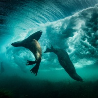 Foto George Karbus