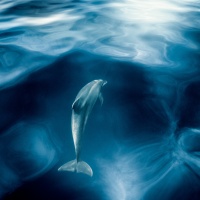 Foto George Karbus