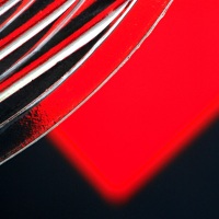 Red or Black