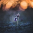 Foto Karolína Vučka