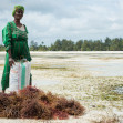 Zanzibar, foto Ľuboš Paukeje