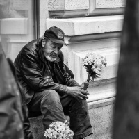 Foto Lucie Šiprová
