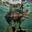 Marek Musil – rozhovor pro Nikonblog.cz