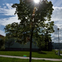 ohnisko 18 mm, F8