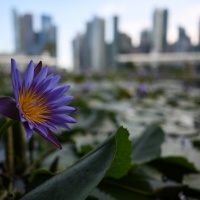 Nikkor Z 24 mm f/1,8 S