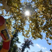 Nikon 1 AW1