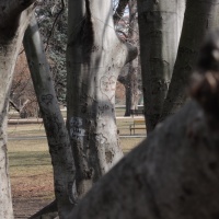 Nikon Coolpix P330