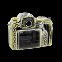 Nikon D500