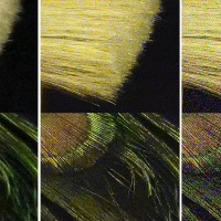 ISO 102 400