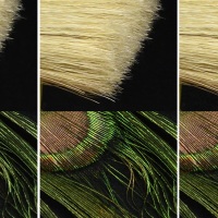 ISO 1 600
