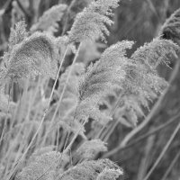 Nikon D5500 – první pohled