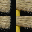 Nikon D780 – ISO 200
