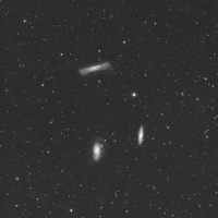 The Leo Triplette © Takayuki Yoshida