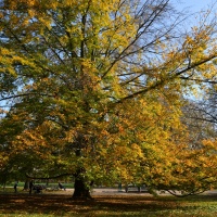 Nikon D850