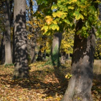 Nikon D850
