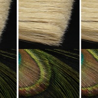 Nikon D850 — ISO 64