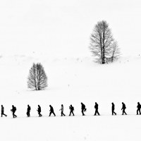 Nikon kalendář 2013 – prosinec | Foto Jan Watzek – Zimní krajinou