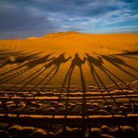 Nikon kalendář 2020 – semifinále | Sahara, foto Jana Kupčáková