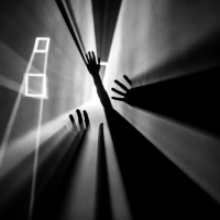 Nikon kalendář 2020 – semifinále | Touch & catch the light, foto Martina Mlčúchová