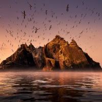 Příběhy divokého oceánu / Wild Ocean Stories © George Karbus: Ostrov Skellig Rock je druhá největší kolonie tereju v Evropě. Západni pobřeží Irska / Skellig Rock Island is the second biggest colony of the terej in Europe. West Coast of Ireland
