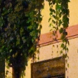 Nikon Z7 – ISO 102 400