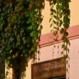 Nikon Z7 – ISO 25 600