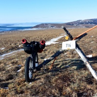 Iditarod Trail Invitational 2014