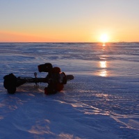 Iditarod Trail Invitational 2014