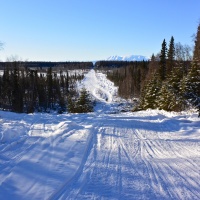Iditarod Trail Invitational 2014