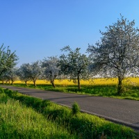 Rozhovor s Petrem Janem Juračkou pro Nikonblog.cz