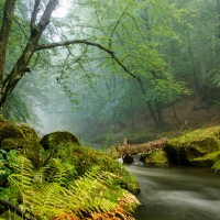 Rozhovor s Petrem Janem Juračkou pro Nikonblog.cz