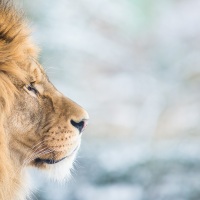 Rozhovor s Petrem Janem Juračkou pro Nikonblog.cz
