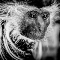 Rozhovor s Petrem Janem Juračkou pro Nikonblog.cz