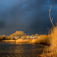 Rozhovor s Petrem Janem Juračkou pro Nikonblog.cz