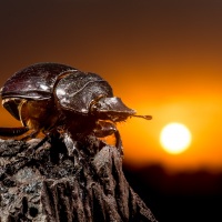 Rozhovor s Petrem Janem Juračkou pro Nikonblog.cz